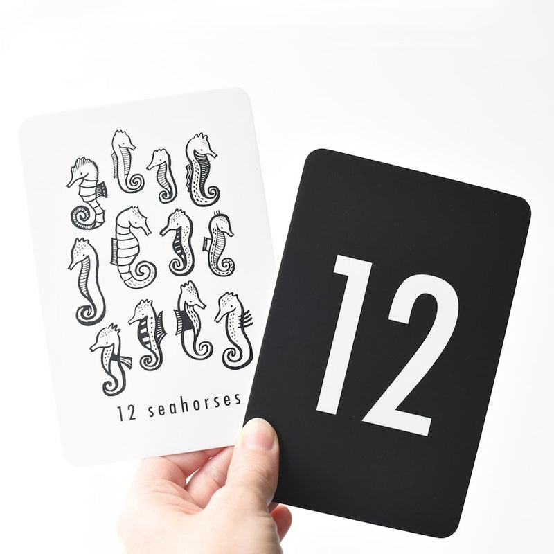 NATURE NUMBER CARDS